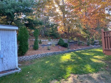 Backyard view
