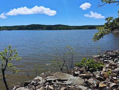 Water's edge