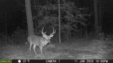 2235 Cr 620, Nacogdoches, TX 75964 - photo 7