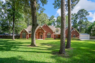 Towering trees create a natural canopy across the