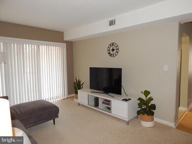 206 Skyhill Rd unit 3, Alexandria, VA 22314 - photo 2