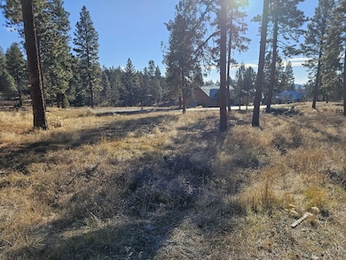 20231128_103801_resized