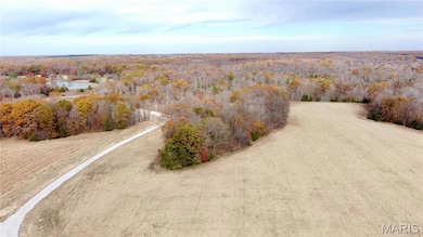 Tract 1 Polston Ln, Hickory Grove Township, MO 63357 - photo 3