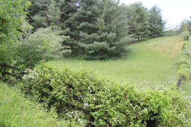 Some Pasture