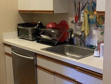 501 Columbus Ave unit 4, Boston, MA 02118 - photo 5