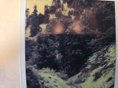 20250811_114451_resized