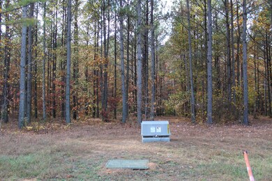 465 Compass Dr, Jasper, TN 37347 - photo 4