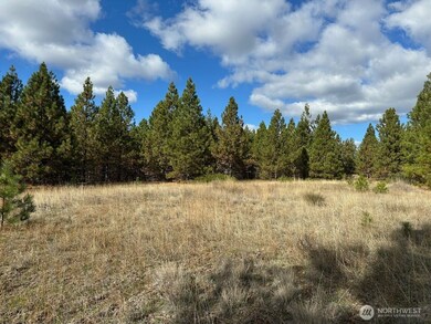 3 Garrison Rd, Goldendale, WA 98620 - photo 6