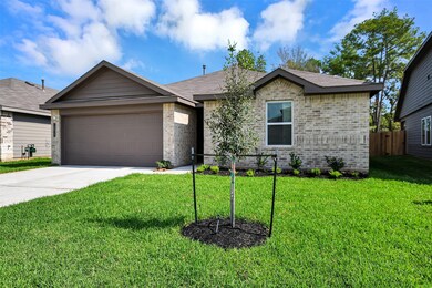 16922 Twisted Seagrass Ln, Magnolia, TX 77355 - photo 2