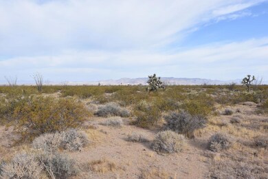 Lone Ranger Rd - 5
