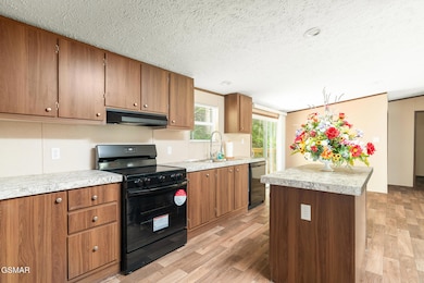 1431 Blue Springs Way, Newport, TN 37821 - photo 7