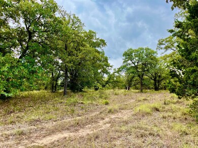 Lot 28 Kilkenny Rd, Poolville, TX 76487 - photo 3