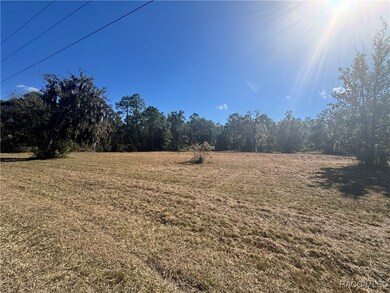 10278 W Belfast St, Crystal River, FL 34428 - photo 3