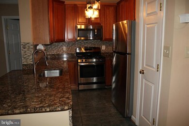 11301 Westbrook Mill Ln unit 203, Fairfax, VA 22030 - photo 5