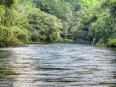 125 Blackberry Dr, Mineral Bluff, GA 30559 - photo 5