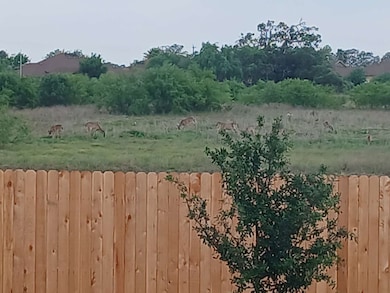 184 Cowboy Ridge, Pleasanton, TX 78064 - photo 2