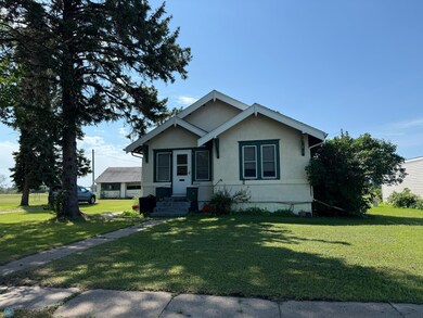 309 W 4th Ave S, Ada, MN 56510 - photo 3