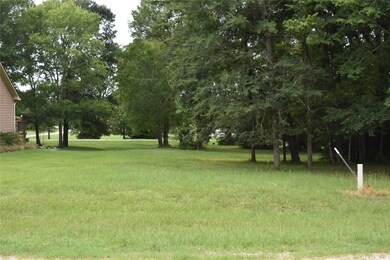 6 Lily Cove, Huntsville, TX 77340 - photo 2