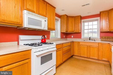 14007 Falls Rd, Cockeysville, MD 21030 - photo 4