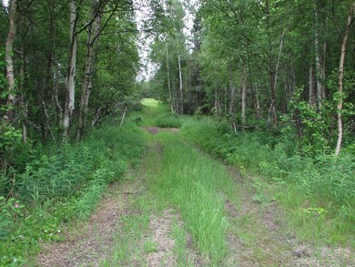 IMG_0656 - A8_ 30 acres hay land