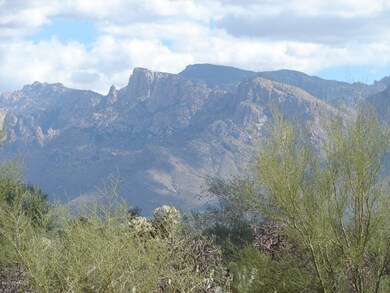 Catalinas / Palo Verdes