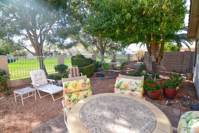 backyard2