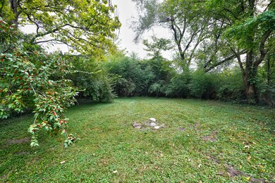 Back Yard 2