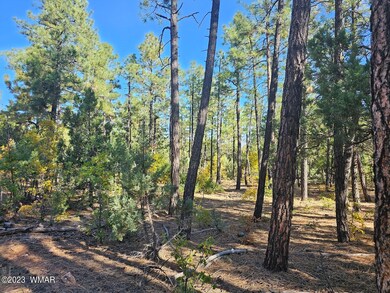 3251 W Sage Lane, Show Low, AZ 85901