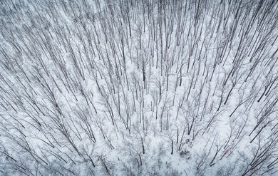 DJI_0238