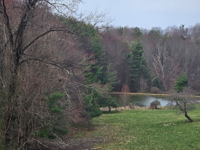 Shared Pond