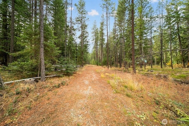 0 S Shugart Flats Rd, Leavenworth, WA 98826 - photo 5