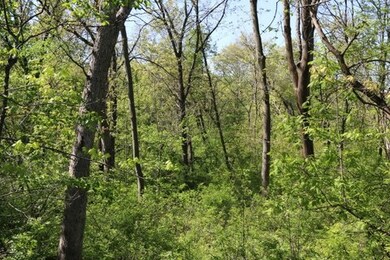 5.5 AC Alpine Rd, Brooklyn, WI 53521 - photo 6