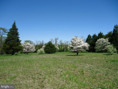 5300 Pond Mountain Rd, Broad Run, VA 20137 - photo 3