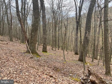 LOT 19 SEC 14 High Knob Rd, Old Fields, WV 26845 - photo 7