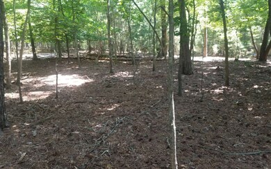 Additional View