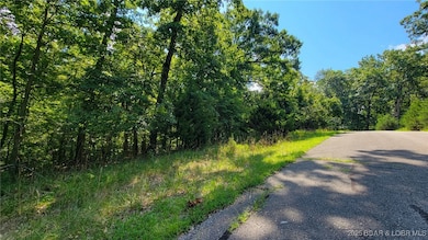 Lot #866 Grand Cypress, Jasper Township, MO 65079 - photo 3