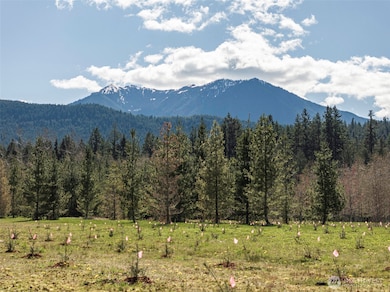 4890 Lost Mountain, Sequim, WA 98382 - photo 6