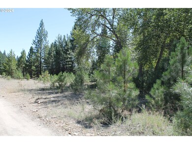 0 Oak St unit 24356227, Sumpter, OR 97877 - photo 6