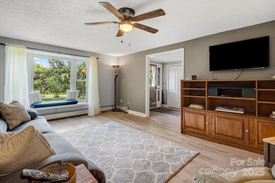 1058 Howard Gap Loop Rd, Flat Rock, NC 28731 - photo 6