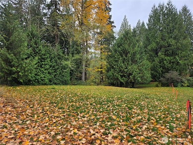 104 XX Slater Ave NE, Kirkland, WA 98033 - photo 3