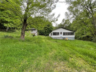 3781 Ovapa Rd, Ovapa, WV 25164 - photo 4