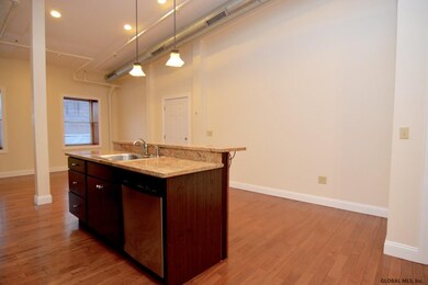 23 N Pearl St unit 4A, Albany, NY 12207 - photo 6