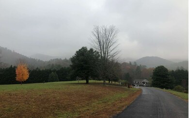 LT 44 Mountain Laurel Rd, Towns, GA 30546 - photo 3