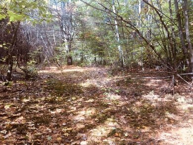 L7 Burley Park Dr, Wakefield, NH 03830 - photo 7