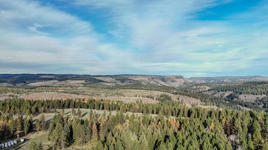 DJI_20251110142903_0241_D