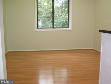 7332 Tavenner Ln unit 3A, Alexandria, VA 22306 - photo 6