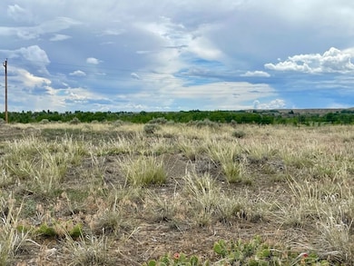 0 Tbd Highway 20 S unit LotWP004, Greybull, WY 82426 - photo 5