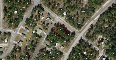 10200 N Spaulding Dr, Citrus Springs, FL 34433 - photo 2