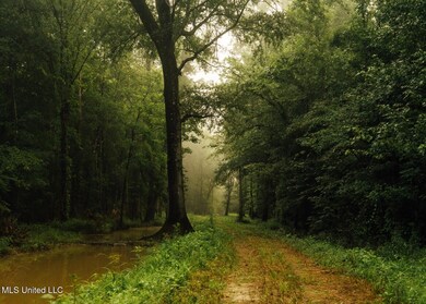 Castens Creek Pics-9