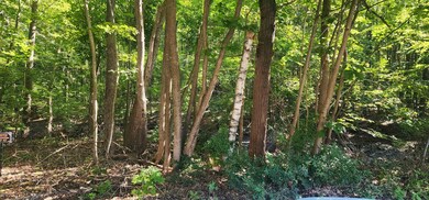 G28-4 Grammar St, Sanford, ME 04073 - photo 4